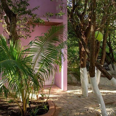 Вілла Casa Rosse Тулум Екстер'єр фото